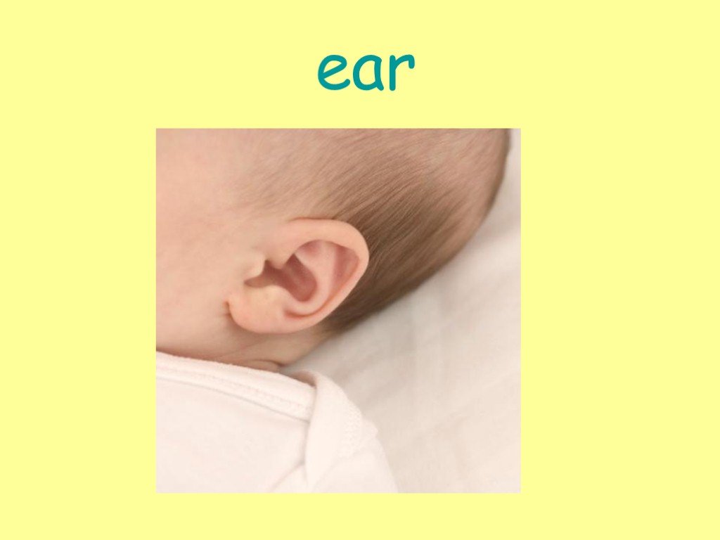 ear